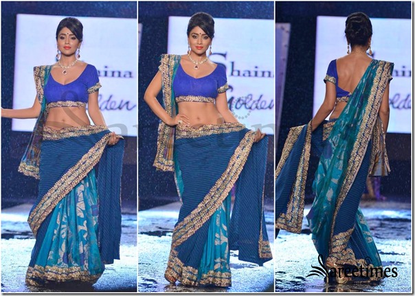 Shaina_Nc_Saree (3)