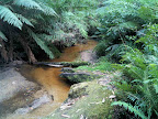 Mar 1 - Mountain stream