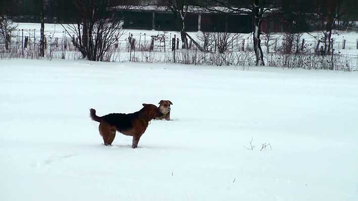 [Schnee11%255B2%255D.jpg]