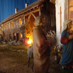 1571-19.jpg 1571-19.jpg