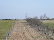 sheepway