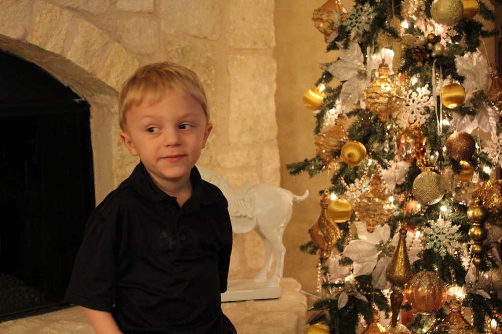 [christmas%2520tree%2520and%2520reid%255B5%255D.jpg]