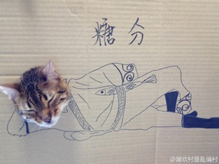 Best Cat Cosplay Ever!