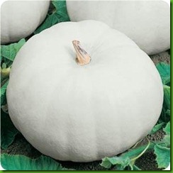 Casper Pumpkin