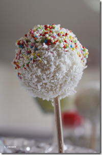 Cake pop - Homeostasie