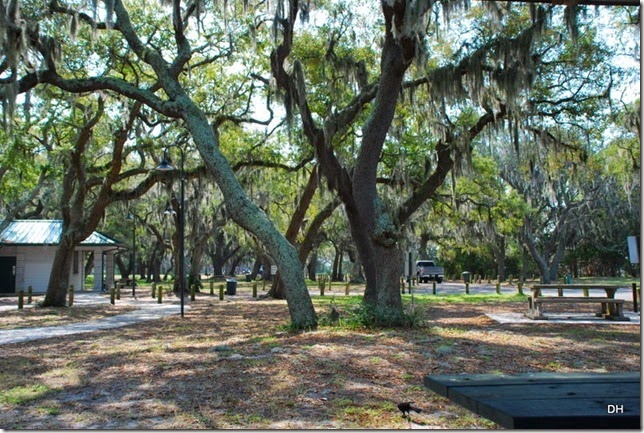 03-21-15 B Jekyll Island (25)