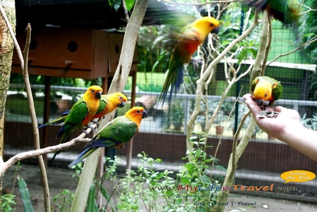 Langkawi Wildlife Park Langkawi Wildlife Park