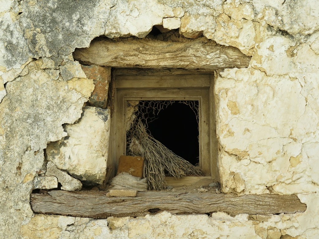 [IMG_0683b%255B5%255D.jpg]