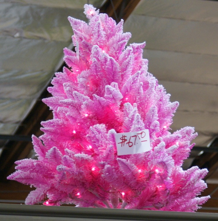 [DSC06527%255B5%255D.jpg]