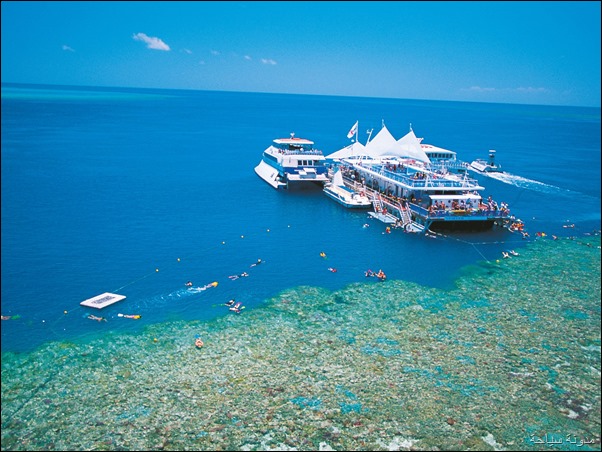 Fantasea Cruises Fantasea Cruises