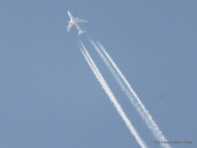 IMG_7972.JPG