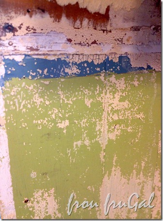 Distressed paneling IMG_4055-001