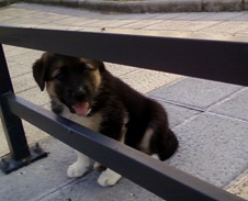 Xena3