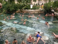 IMG_1252 IMG_1252