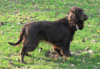 Amy in het park