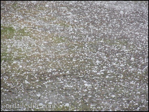 minnesota golf ball sized hail