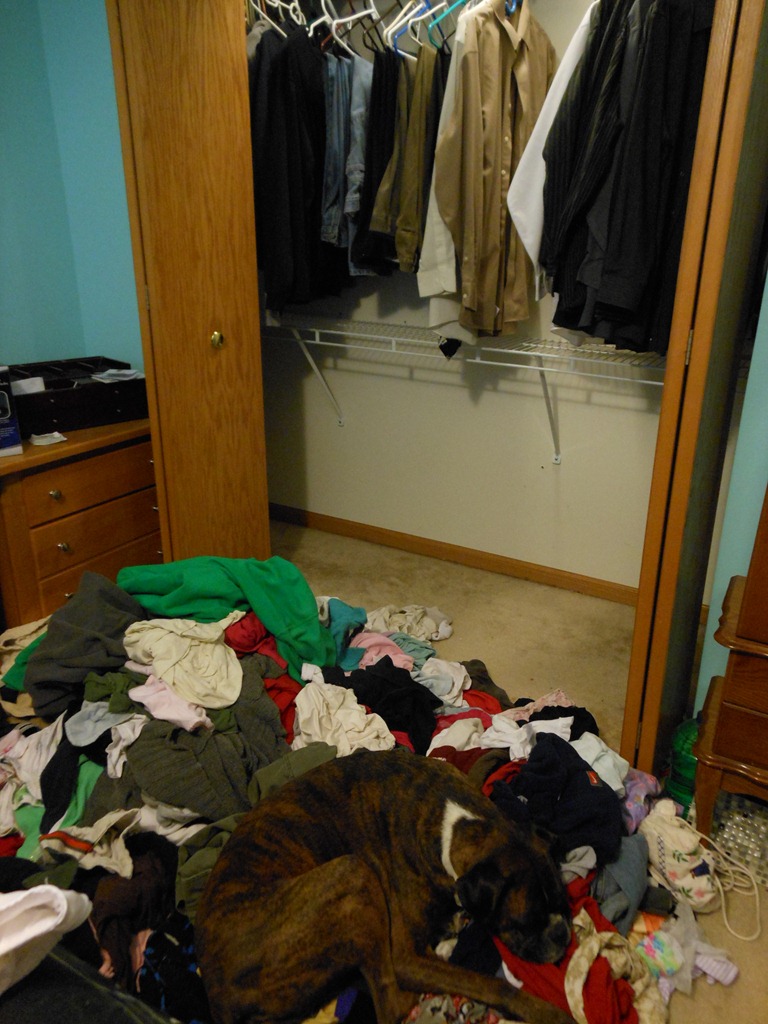 [DSCN1685%255B5%255D.jpg]