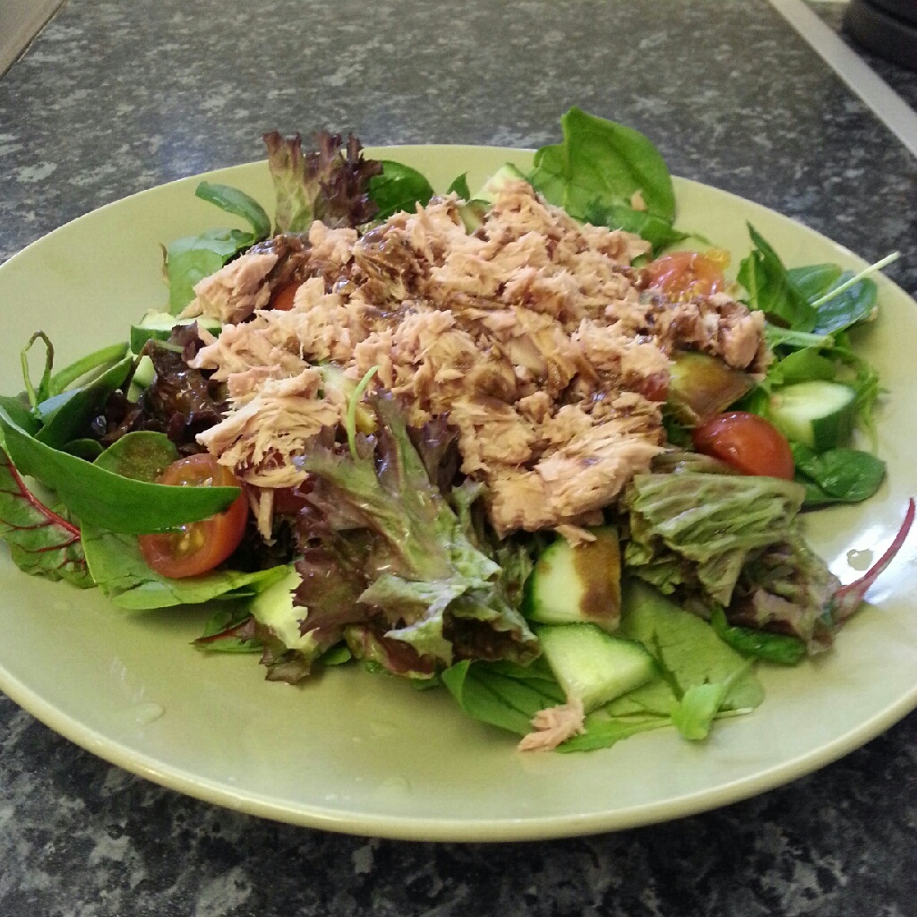 my Dukan journey... Tuna salad