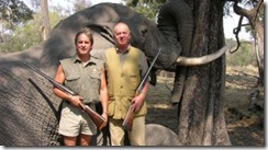safariBorbon