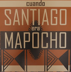 Visita la nueva exposición del Museo Nacional de Historia Natural “Cuando Santiago era Mapocho”