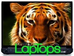laptop-skin-3d-tiger