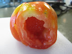This hollow tomato, a type of paste would be good for sauce.