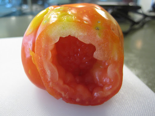 This hollow tomato, a type of paste would be good for sauce.