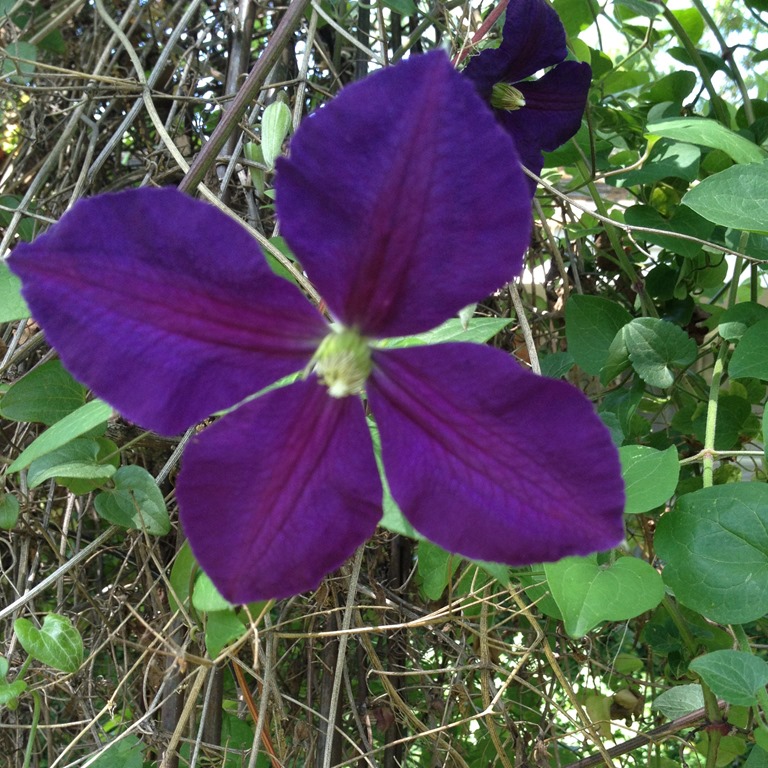 [IMG_3706%255B5%255D.jpg]