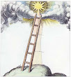 Ladder From The Senses To The Word Of God From Robert Fludd 1619