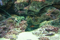 IMG_3020 IMG_3020