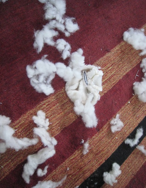 Reyna loved the Egglands Best plush a little TOO hard.