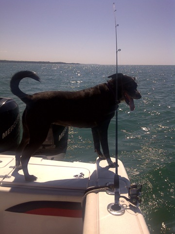 [IMG-20110715-00946%255B2%255D.jpg]