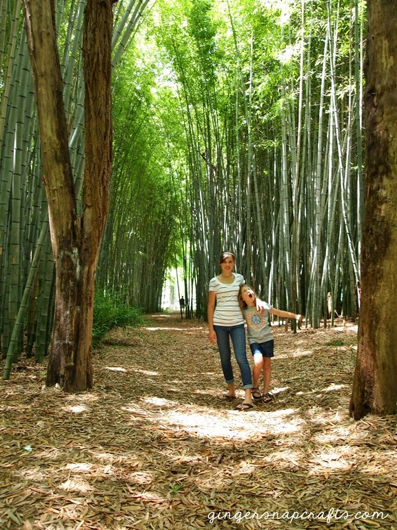 [Bamboo%2520Forest%255B5%255D.jpg]