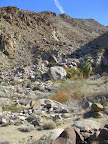 Hiking Trail to Fortynine Palms Oasis (Photo by Bob Moore)