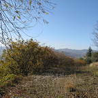 IMG_2428.jpg