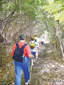 Walking through tunnel 2x.jpg