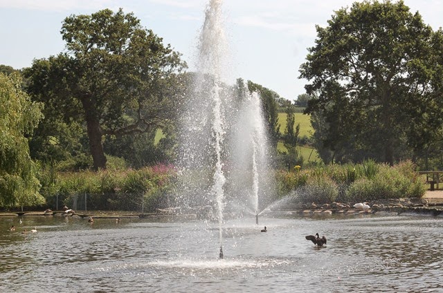 [DSC_0366%255B3%255D.jpg]