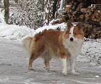 2012.02.05.12_07_38.JPG