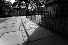IMG_1507