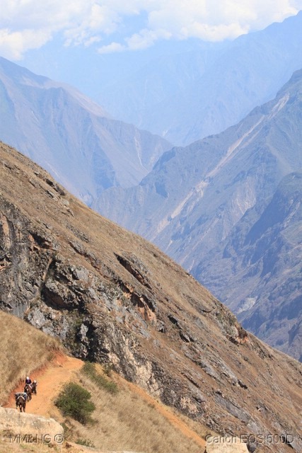 [IMG_6223%255B10%255D.jpg]