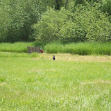 Hunting 2011