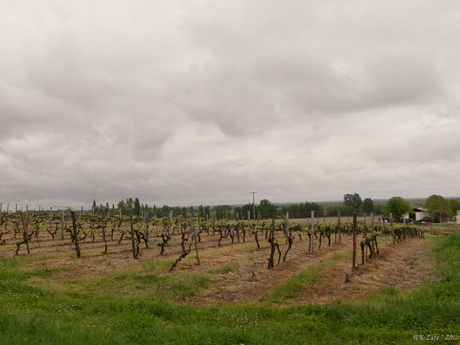 [P4111848%255B3%255D.jpg]