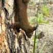 DSCN0707.JPG