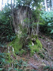 IMG_4876_512.JPG