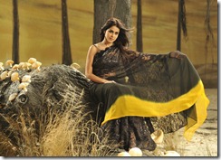 Genelia Hot in Black Saree from Naa Ishtam Movie