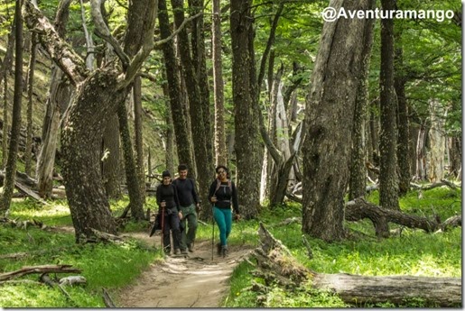 Caminho para a Laguna Torre Caminho para a Laguna Torre