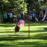IMG_5073.JPG