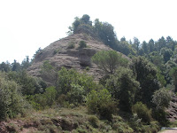 DSC09036.JPG