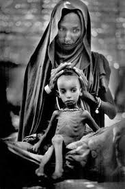 [images%255B245%255D.jpg]