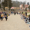 IMG_7992.JPG